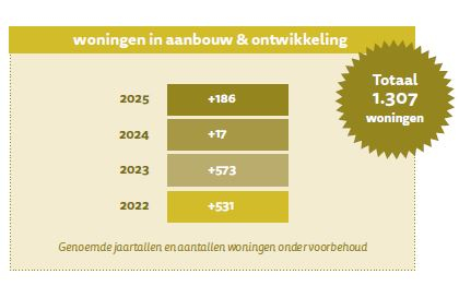 'De markt is overspannen, maar wij zien nog kansen genoeg' 3